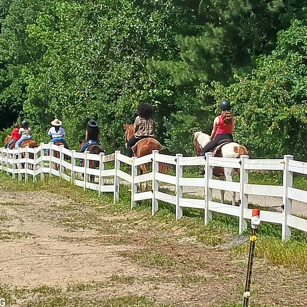 Black Creek Hill Farms