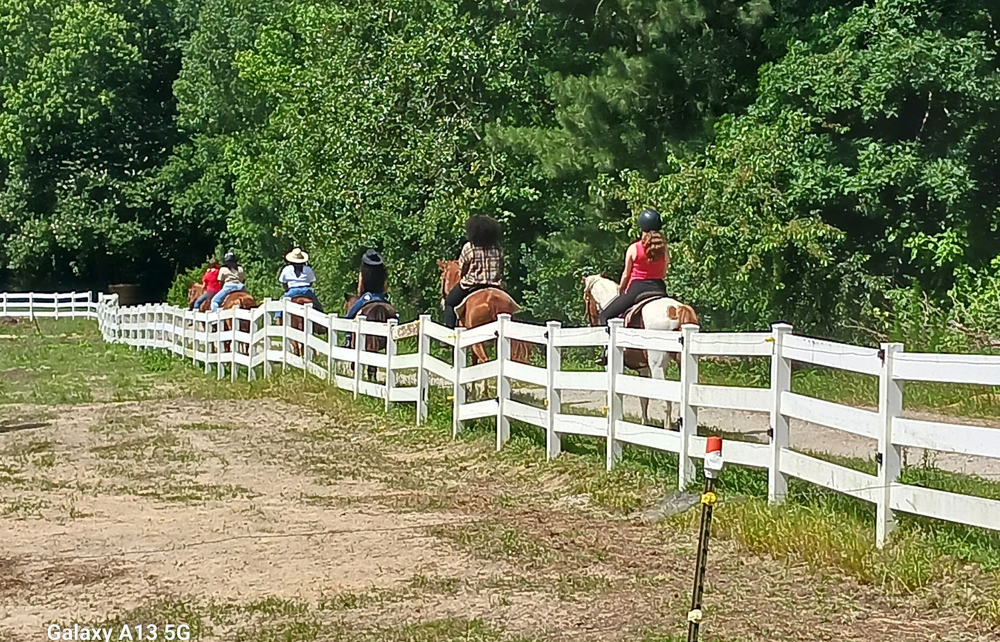 Black Creek Hill Farms