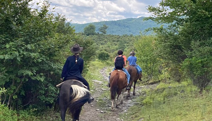 Appalachian Horseback Riding Adventures
