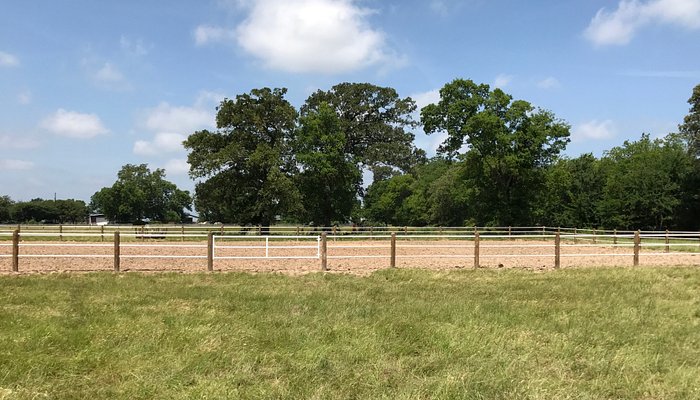 Lake Fork Stables