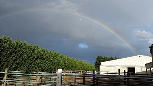 Dream Ridge Stables