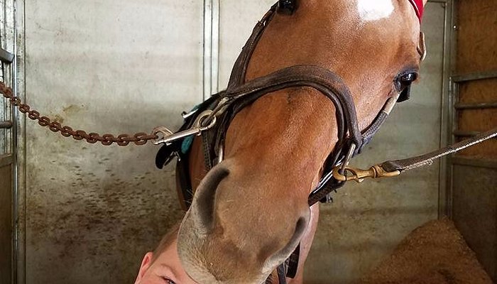 
                      
                        Louisville Equestrian Center
                      
                    