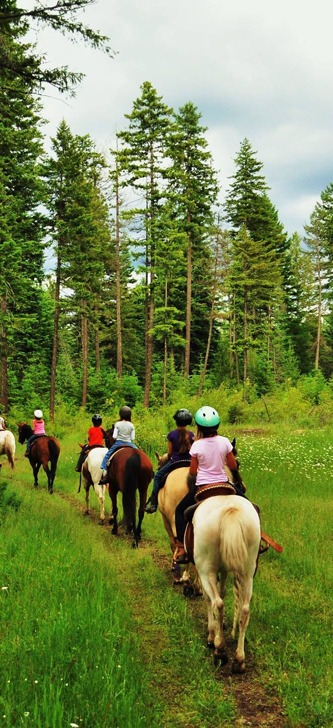 Bridle Path Quarter Horses