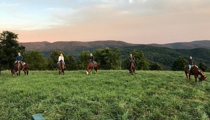 
                      
                        Mountaintop Ranch Wilderness Trail Rides
                      
                    