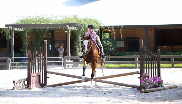 
                      
                        Windwood Equestrian
                      
                    