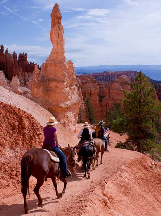 Canyon Trail Rides