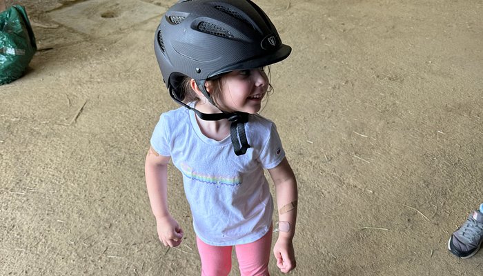 Shelby Farms Stables