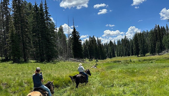 Greer By Horseback