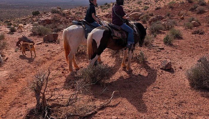 
                      
                        Wild West Trailrides
                      
                    