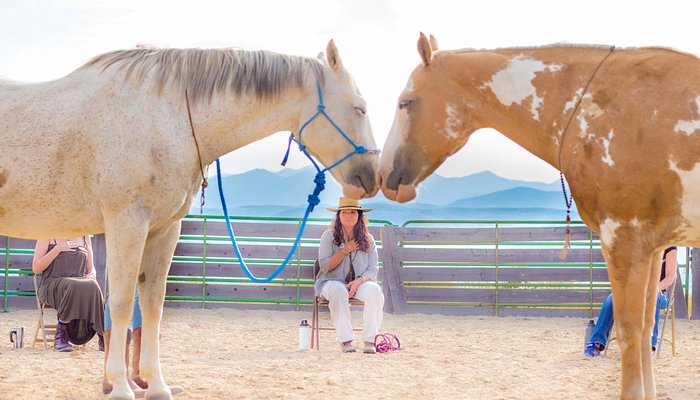 
                      
                        Park City Horse Experience
                      
                    