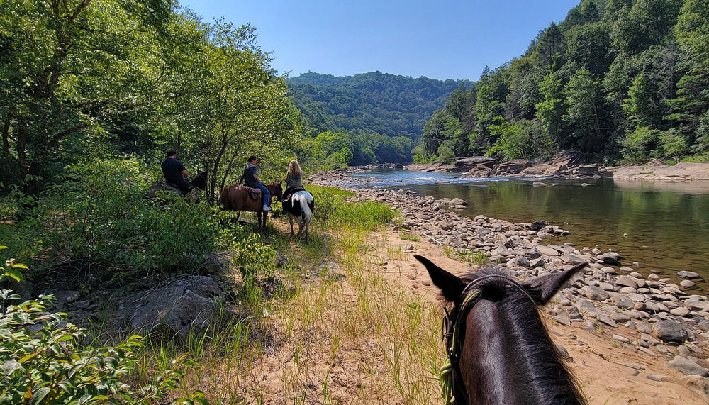 Horseshoe Creek Riding Stable