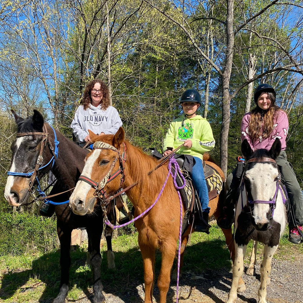 Horseshoe Creek Riding Stable