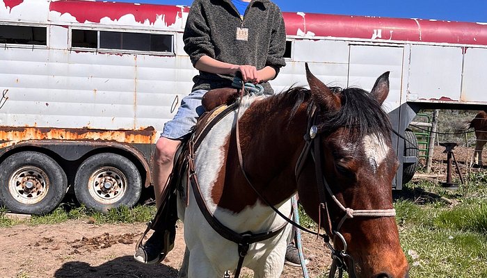 
                      
                        Lava Horseback Adventures Llc
                      
                    