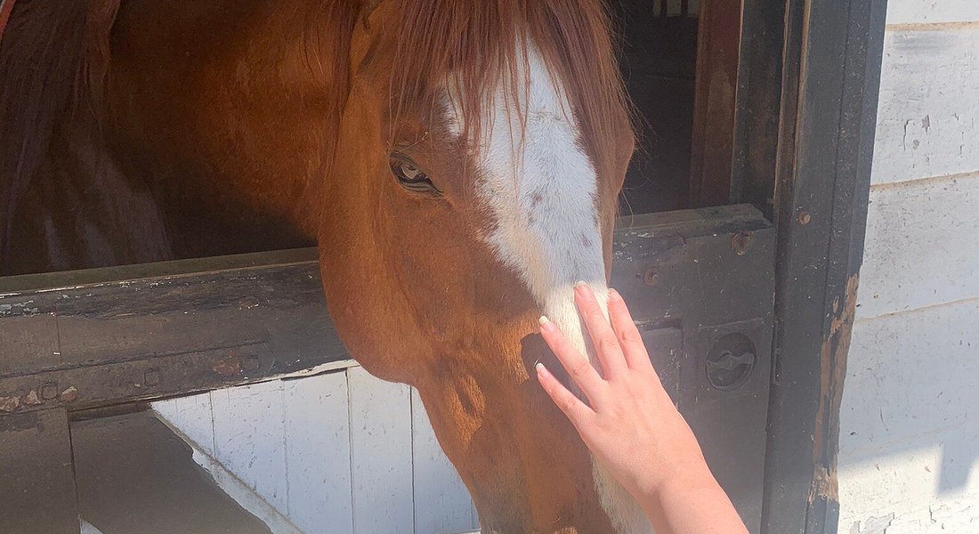 Big River Barn Rescue