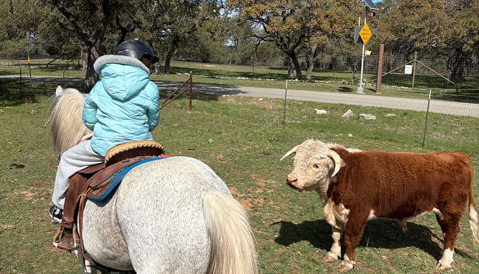 
                      
                        Horseback Adventures of Central Texas
                      
                    