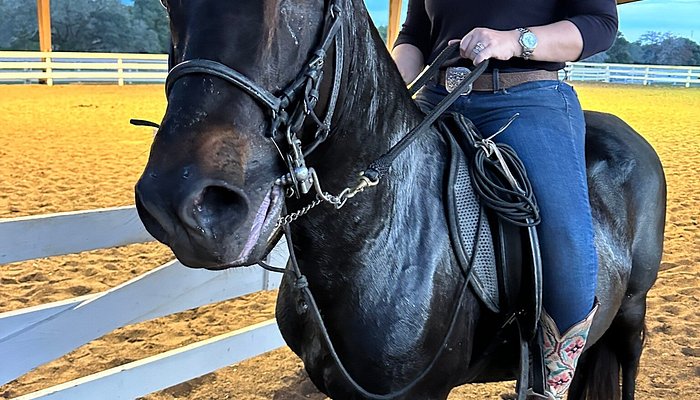 Holistic Horseback Riding Center