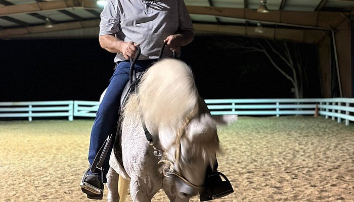 
                      
                        Holistic Horseback Riding Center
                      
                    