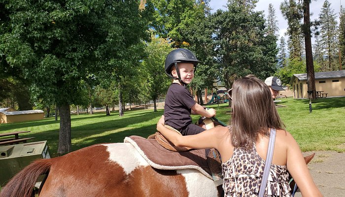 
                      
                        Mary Homicz's Equine Services
                      
                    