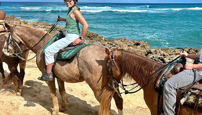 
                      
                        Turtle Bay Resort Horse Riding
                      
                    