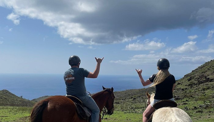 
                      
                        Palehua Trail Rides
                      
                    