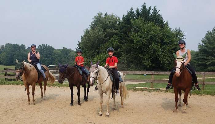 
                      
                        Fairwinds Farm & Stables
                      
                    