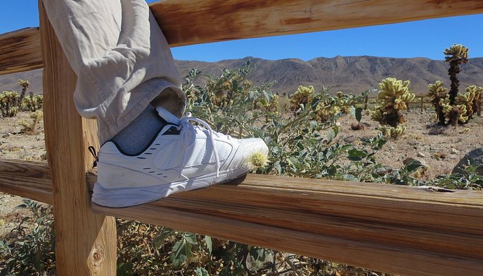 
                      
                        Joshua Tree Ranch
                      
                    
