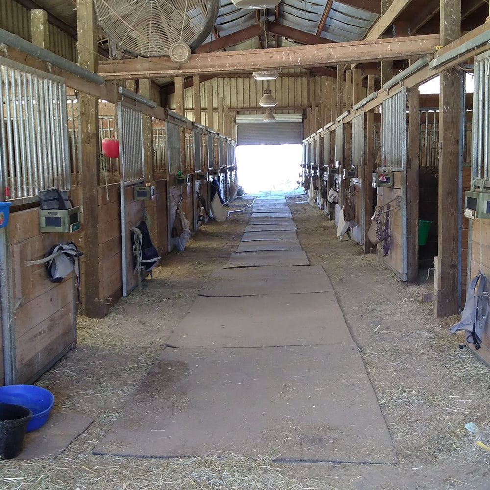 
                      
                        Evergreen Stables Equestrian Center
                      
                    