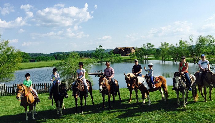 
                      
                        Clearview Horse Farm Horseback Riding
                      
                    