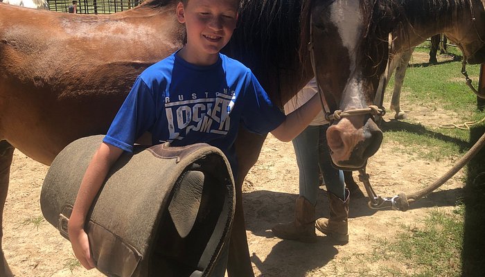 
                      
                        Collins Natural Horsemanship
                      
                    