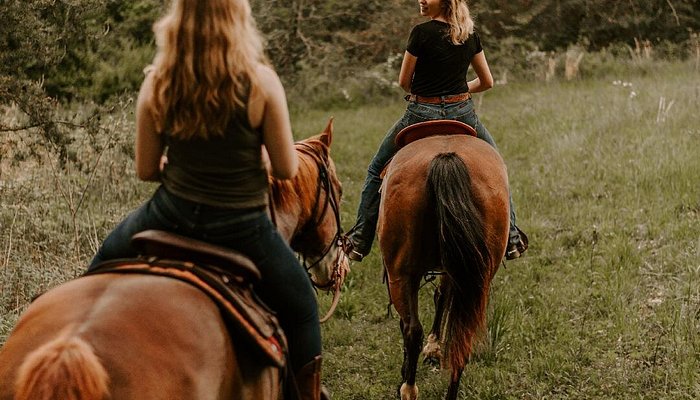 
                      
                        Mountaintop Ranch Wilderness Trail Rides
                      
                    
