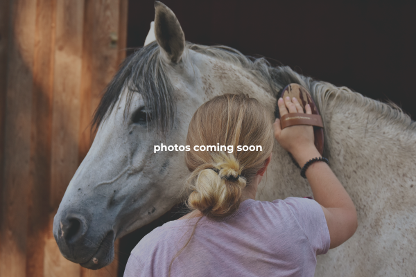 Platte Ranch Riding Stables