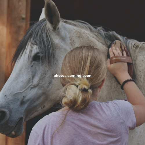 Grand Advenutres Ranch