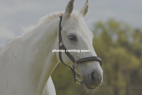 Miami Equestrian Club