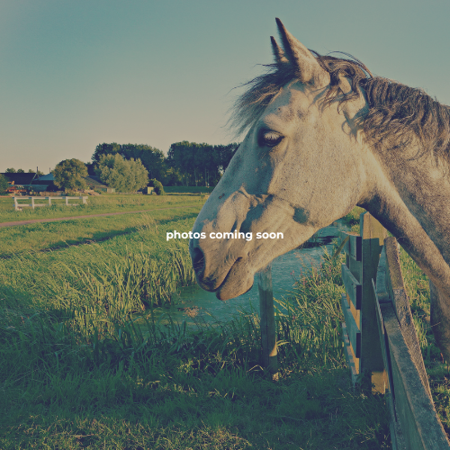 Apple Valley Horsemen's Center