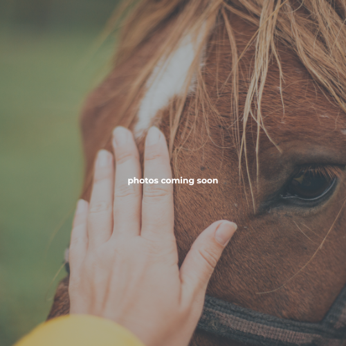 Norther Kentucky Horse Center