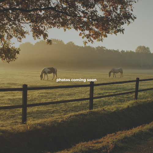 A Bit of Heaven Equestrian Center