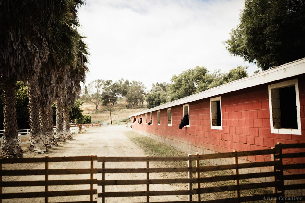 
                      
                        Sweetwater Farms - Bonita, CA
                      
                    