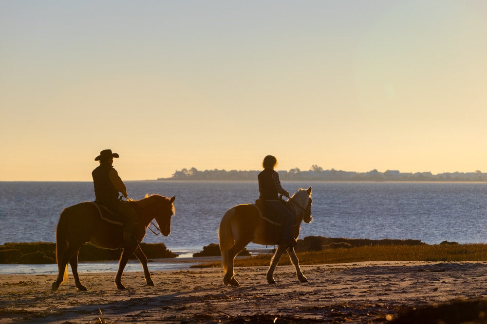 
                      
                        Camelot Farms Equestrian Center
                      
                    
