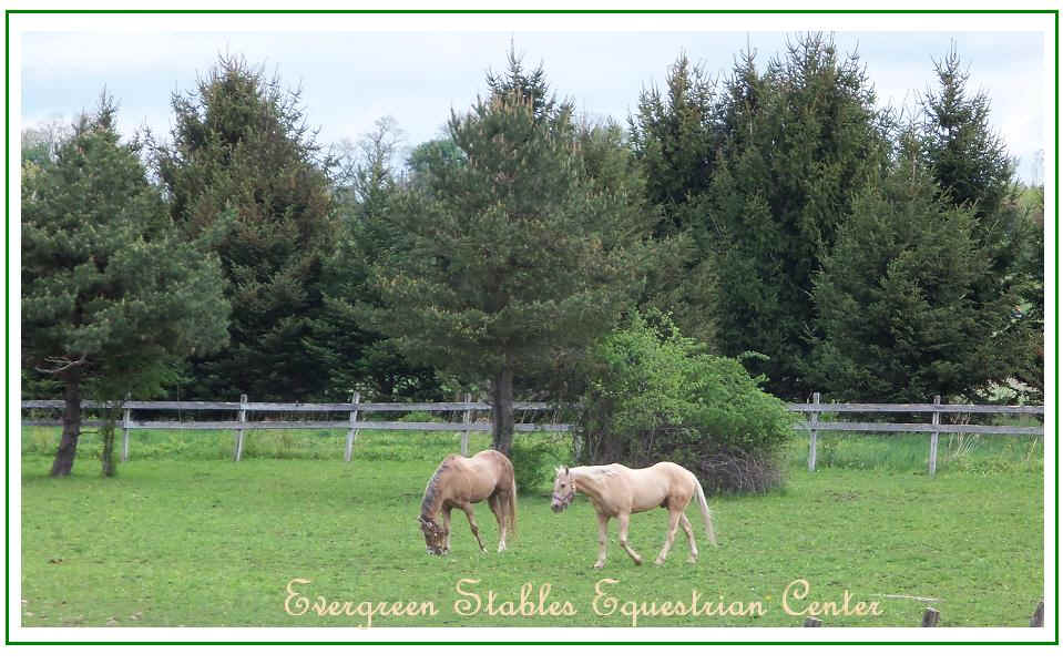 Evergreen Stables Equestrian Center