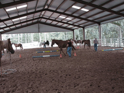 Wellborn Quarter Horses