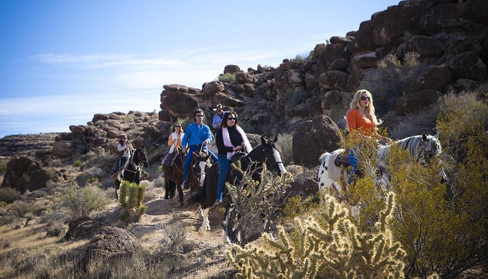 Cowboy Trail Rides