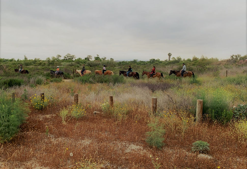 
                      
                        Surfside Ranch - San Diego, CA
                      
                    