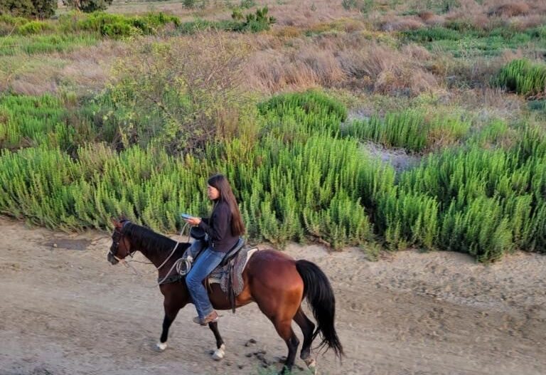 
                      
                        Surfside Ranch - San Diego, CA
                      
                    