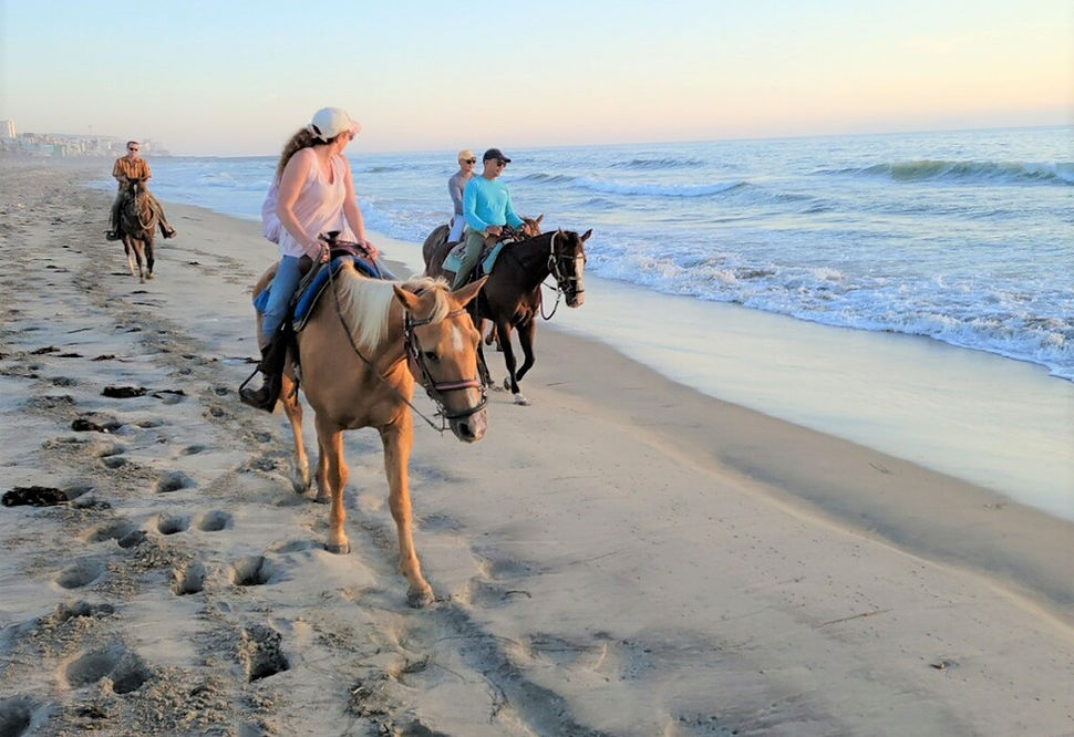 
                      
                        Surfside Ranch - San Diego, CA
                      
                    