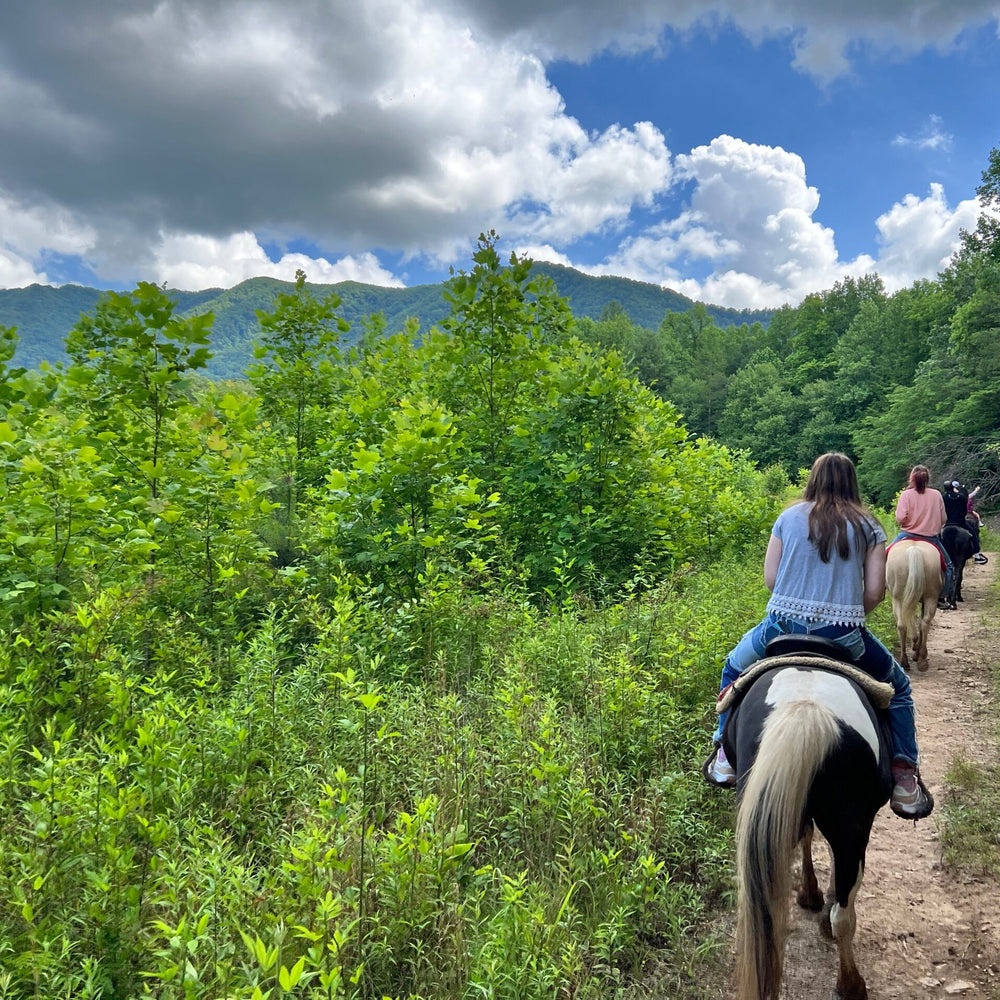
                      
                        Davy Crockett Riding Stables
                      
                    