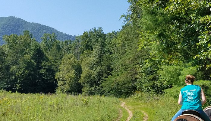 
                      
                        Davy Crockett Riding Stables
                      
                    