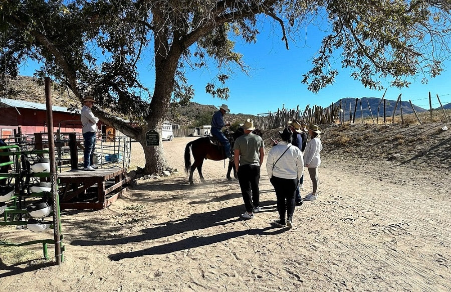
                      
                        Desert Wonders Tour: Horseback Ride thru Joshua Tree Forest with Buffalo & Lunch
                      
                    
