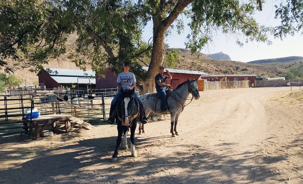Desert Wonders Tour: Horseback Ride thru Joshua Tree Forest with Buffalo & Lunch