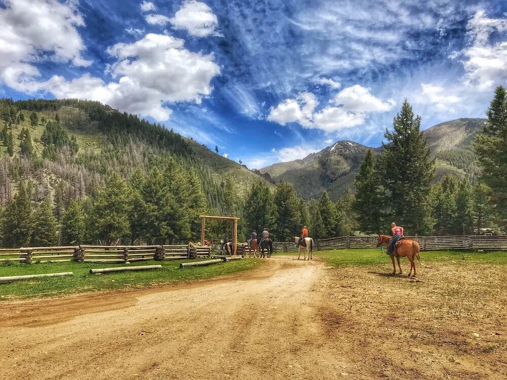 
                      
                        Diamond D Ranch - Idaho
                      
                    