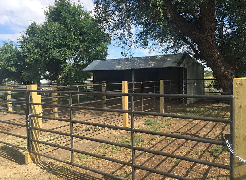 
                      
                        Happy Horse Haus, LLC
                      
                    